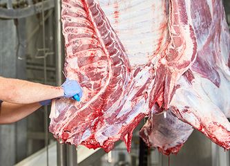 bulk beef orders