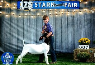 4h hall of fame
