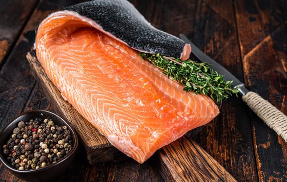 salmon