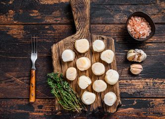scallops